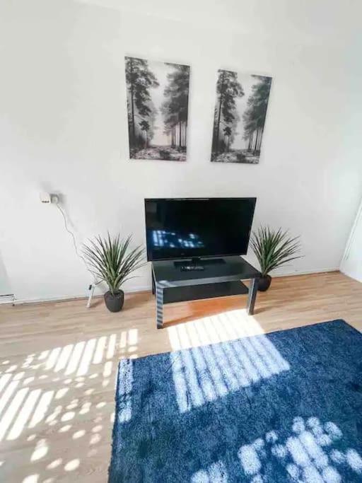 Spacious Two Bedroom Flat Londen Buitenkant foto